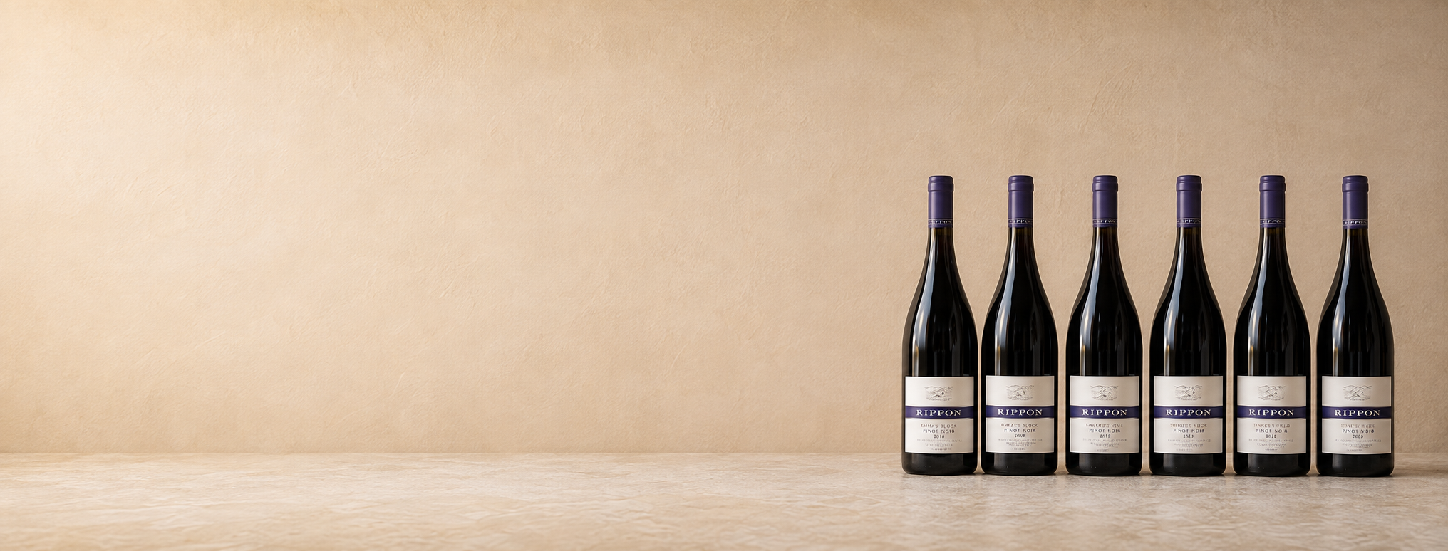 Rippon New Releases