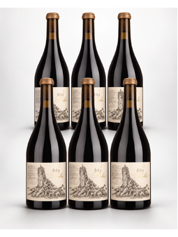 Standish The Relic Shiraz Viognier 2019 - 2024 Vertical 750ml