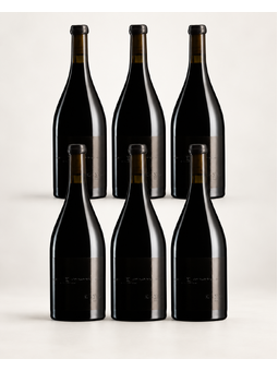 Standish The Schubert Theorem Shiraz 2019 - 2023 Vertical 750ml